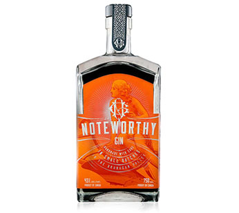 Gin-A-Palooza Wraps Up in Style with Noteworthy Gin